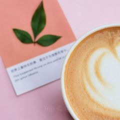 Shuzaoshe Coffee User Photo