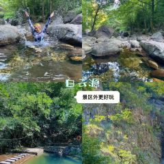 一茶一坐农庄 User Photo