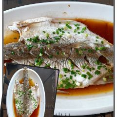 尚田大院張用戶圖片