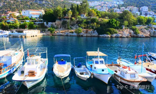 Kaş