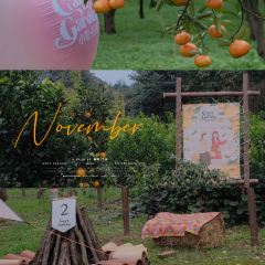 小馆·苔野 User Photo