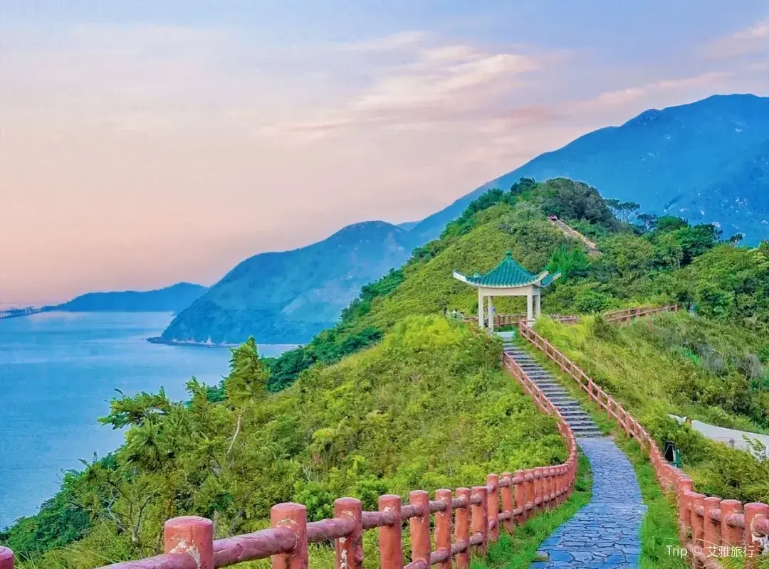 香港打卡景點 | 虎山觀景台