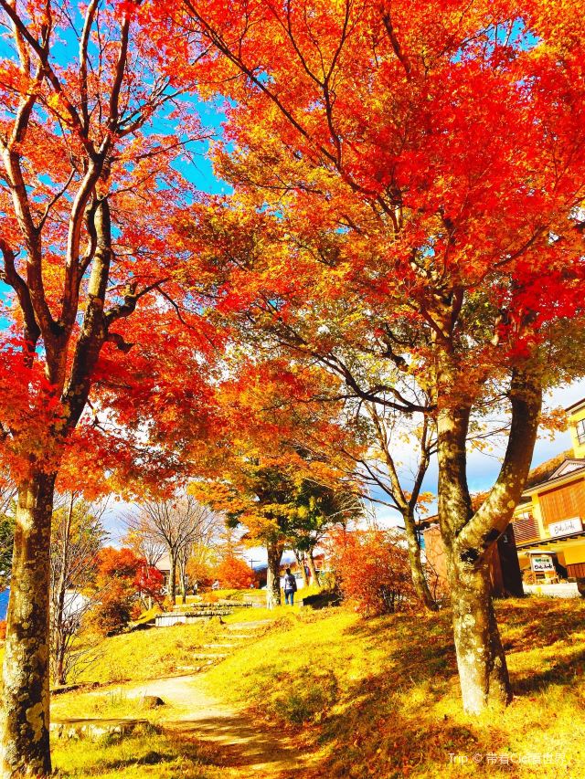 주젠지 호