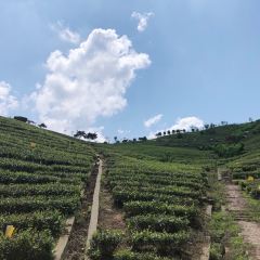 Xinlongshengtaiyuan User Photo