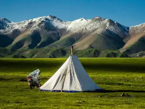 Qilian Mountain Grassland