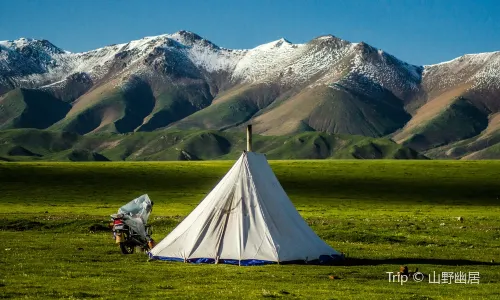 Qilian Mountain Grassland