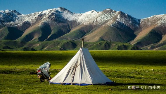 Qilian Mountain Grassland