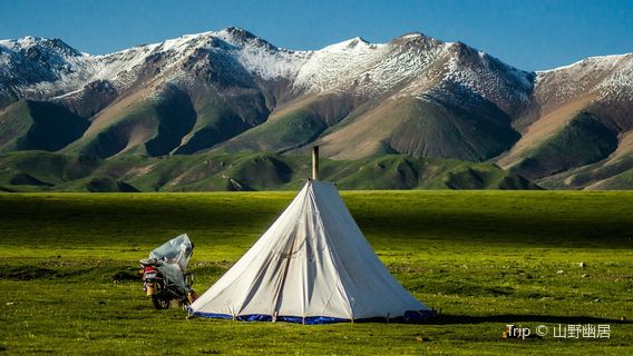 Qilian Mountain Grassland