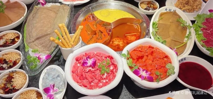 大闹火锅(金桂苑店)