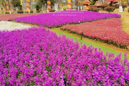 百花家园馨逸音乐餐厅