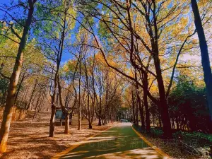 곤명식물원