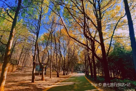 Kunming Botanical Garden