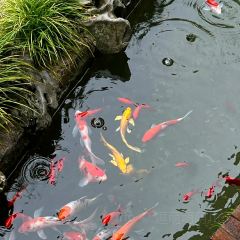 三宝村点心局(梨树园店) User Photo