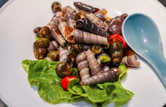 土灶頭•土菜文化的傳承者（西演茅店）