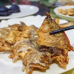 陶然居(滨江中路店) User Photo