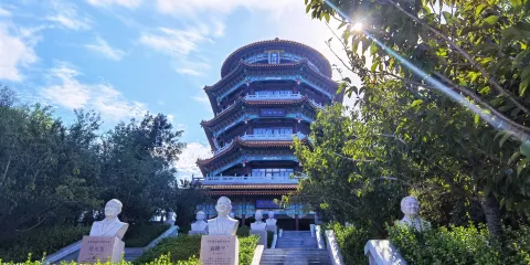 山東黃河玫瑰湖國家濕地公園
