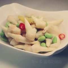 Xue Tao · In the Yard User Photo