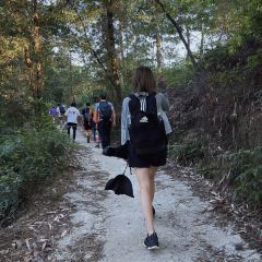石门台小水洞农庄 User Photo