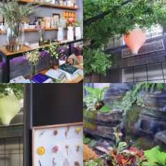 Urban Greens User Photo