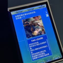 Tenka User Photo