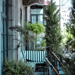 The Living Room User Photo