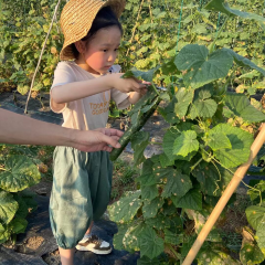 良壤有机庄园 User Photo