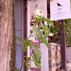 先境·HERE(龙尾关一店) 여행 사진