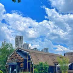 西湖鱼港(溪悦荟店) User Photo