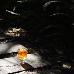 Wild Coffee Studio User Photo