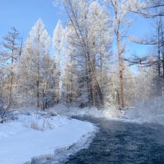 长白山万达喜来登度假酒店·大堂吧 User Photo