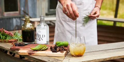 The Enchanted Fig Tree