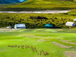 Zhegu Grassland
