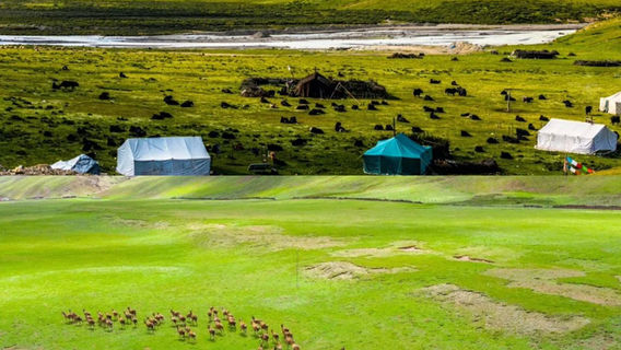Zhegu Grassland