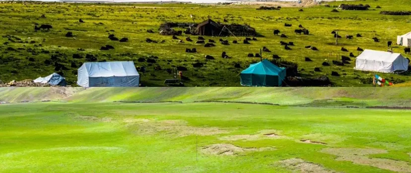 Zhegu Grassland
