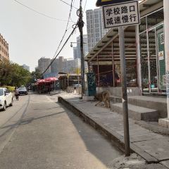 惠琴串串店張用戶圖片