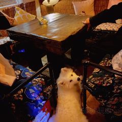 798小酒馆(裕后街店) User Photo