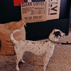 Marienbad Cafe User Photo