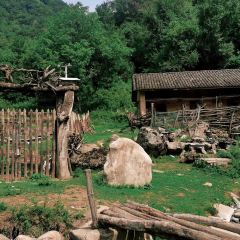 味道秦岭 User Photo