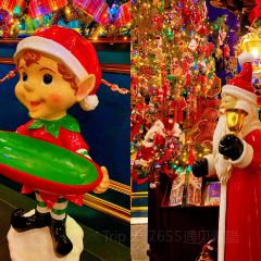 Little Kook User Photo