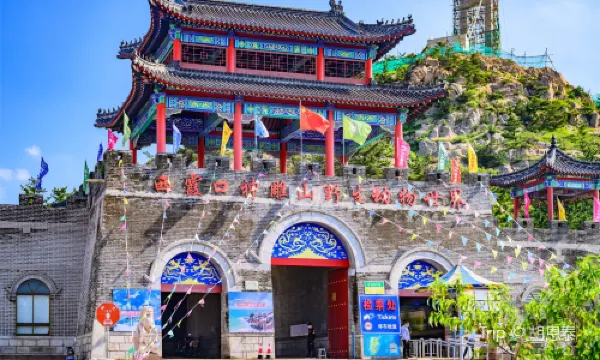 Shendiao Wild Animal Nature Reserve