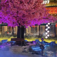 丽景寻鲜(古城丽影店) User Photo