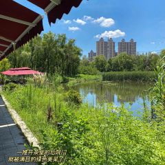 庐州隐·国风茶宴(南艳湖公园店) User Photo