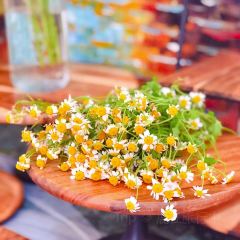 甜蜜蜜法式甜品(竹林北路店) User Photo