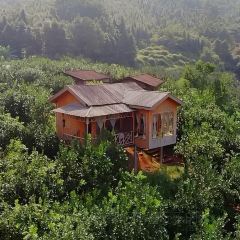 Guanlan Mountain Villa User Photo