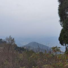 云崖兔酒楼 User Photo