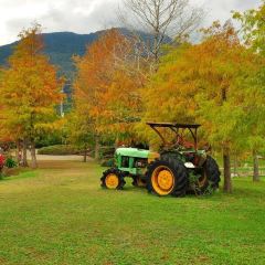 Pine Tree Lake User Photo