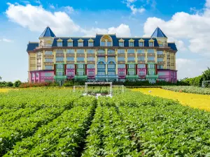 Million Sunflower Garden