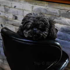 Wild Coffee Studio User Photo