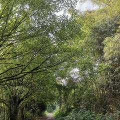 鐘大叔桂花烤羊用戶圖片