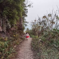 云崖兔酒楼 User Photo